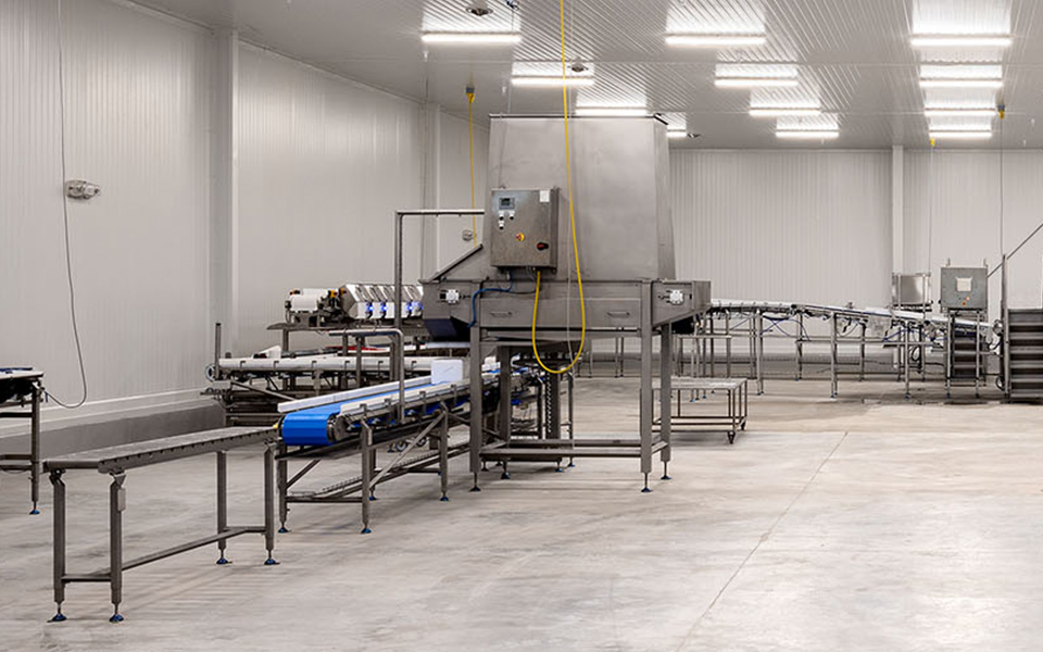 Manufacturing floor with machines for making food or beverages in a plant.