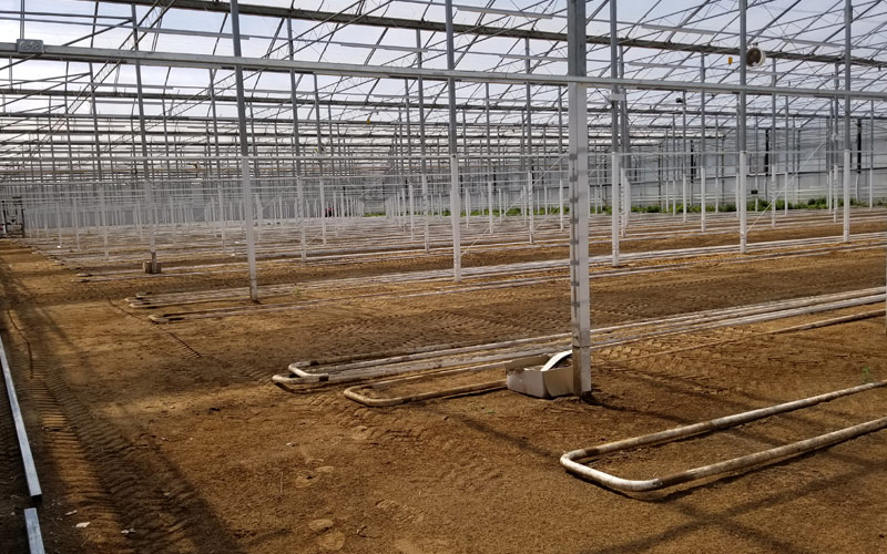 Photo of the interior greenhouse with dirt floor and metal poles staggered throughout