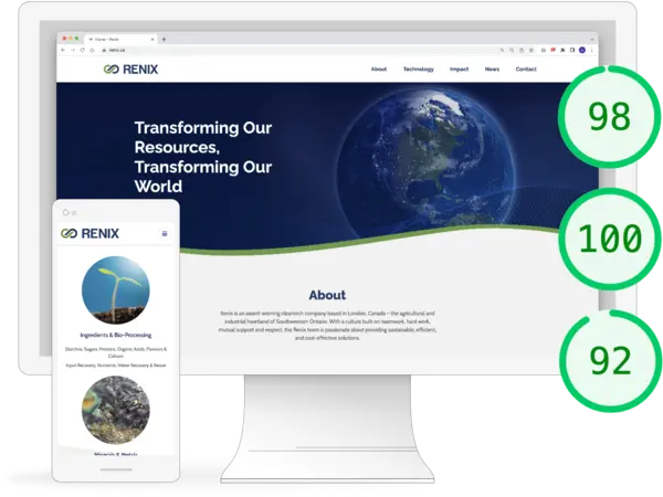 PageSpeed Insights for RENIX and rendering of the desktop and mobile version